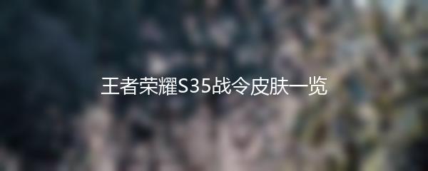王者荣耀S35战令皮肤一览