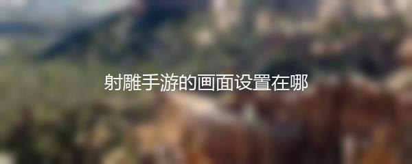 射雕手游的画面设置在哪