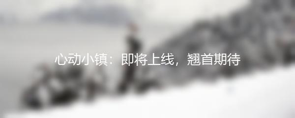 心动小镇：即将上线，翘首期待