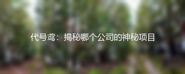 代号鸢：揭秘哪个公司的神秘项目