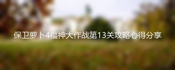保卫萝卜4福神大作战第13关攻略心得分享