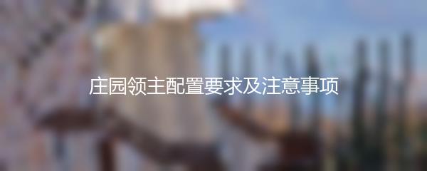 庄园领主配置要求及注意事项
