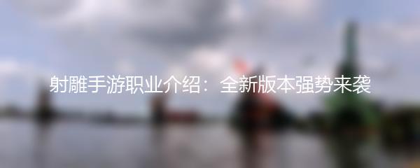 射雕手游职业介绍：全新版本强势来袭
