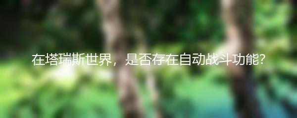 在塔瑞斯世界，是否存在自动战斗功能？