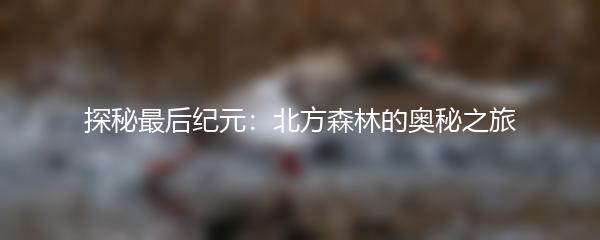 探秘最后纪元：北方森林的奥秘之旅