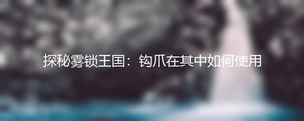 探秘雾锁王国：钩爪在其中如何使用