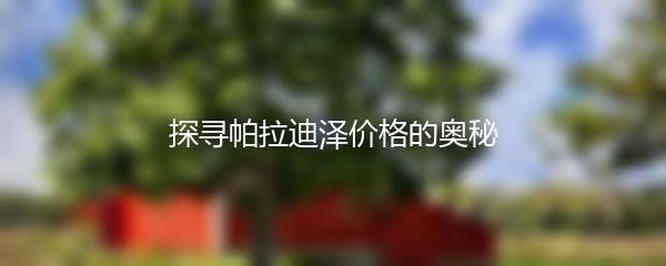 探寻帕拉迪泽价格的奥秘