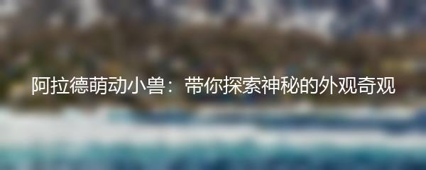 阿拉德萌动小兽：带你探索神秘的外观奇观