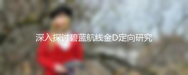 深入探讨碧蓝航线金D定向研究
