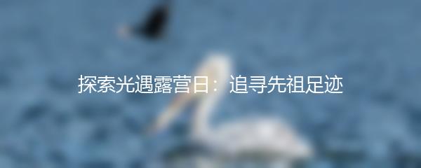 探索光遇露营日：追寻先祖足迹