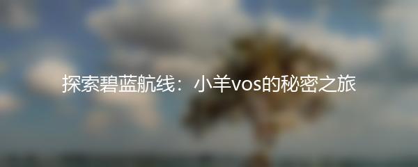 探索碧蓝航线：小羊vos的秘密之旅