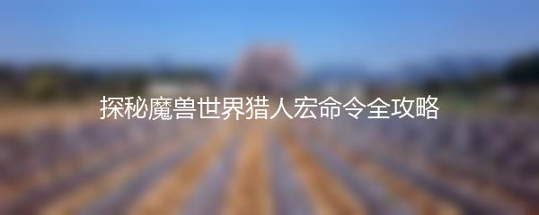 探秘魔兽世界猎人宏命令全攻略