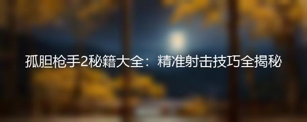 孤胆枪手2秘籍大全：精准射击技巧全揭秘