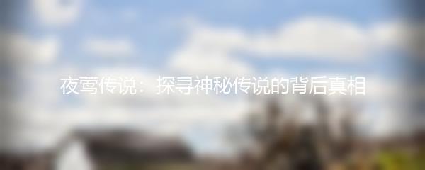夜莺传说：探寻神秘传说的背后真相
