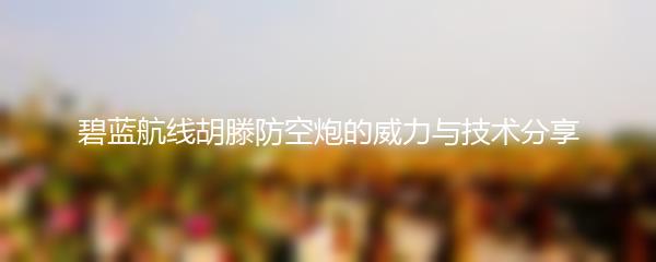 碧蓝航线胡滕防空炮的威力与技术分享