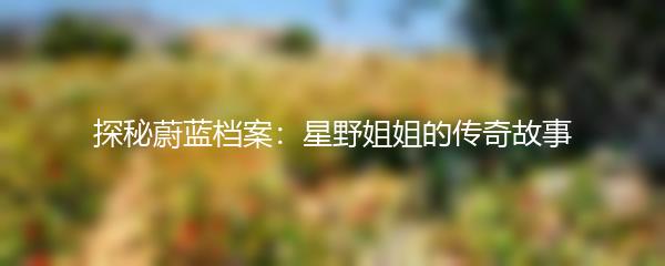 探秘蔚蓝档案：星野姐姐的传奇故事