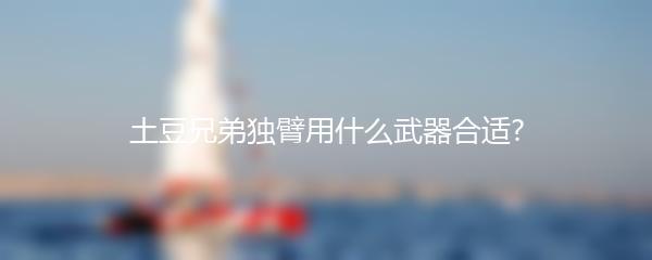 土豆兄弟独臂用什么武器合适?