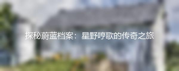 探秘蔚蓝档案：星野哼歌的传奇之旅