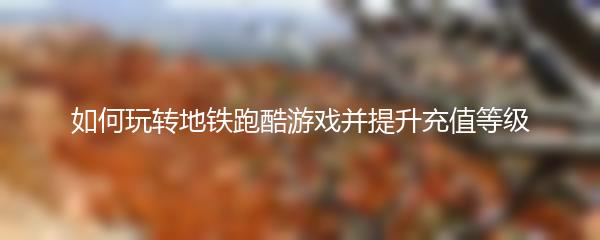 如何玩转地铁跑酷游戏并提升充值等级