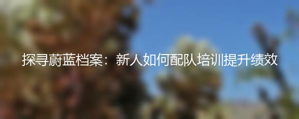 探寻蔚蓝档案：新人如何配队培训提升绩效