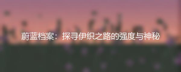 蔚蓝档案：探寻伊织之路的强度与神秘