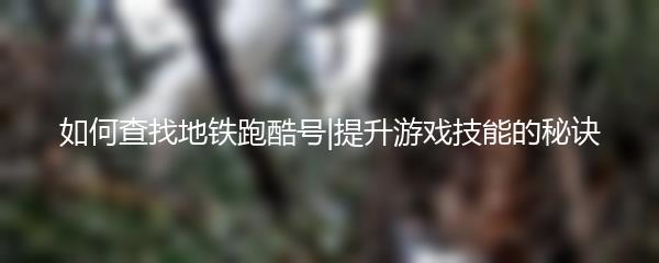 如何查找地铁跑酷号|提升游戏技能的秘诀