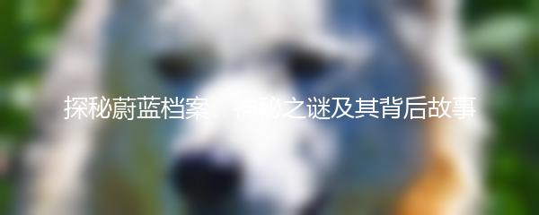 探秘蔚蓝档案：神秘之谜及其背后故事