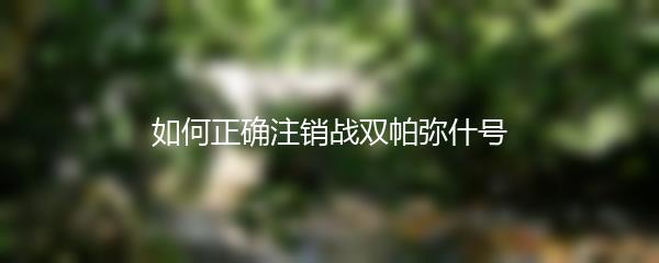 如何正确注销战双帕弥什号