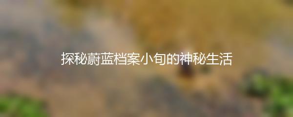探秘蔚蓝档案小旬的神秘生活