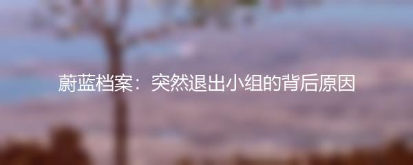 蔚蓝档案：突然退出小组的背后原因