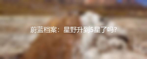 蔚蓝档案：星野升到5星了吗？
