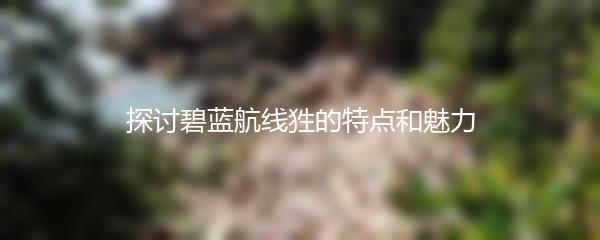 探讨碧蓝航线狌的特点和魅力