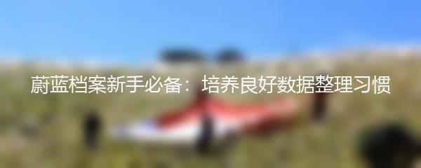 蔚蓝档案新手必备：培养良好数据整理习惯