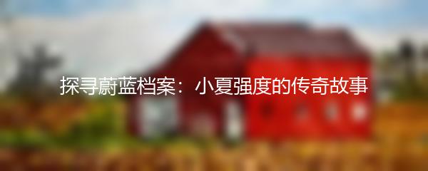 探寻蔚蓝档案：小夏强度的传奇故事