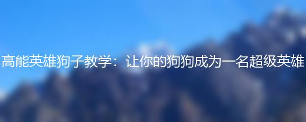 高能英雄狗子教学：让你的狗狗成为一名超级英雄