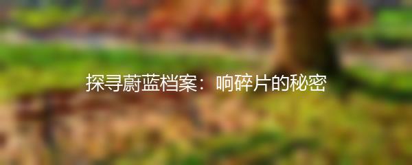 探寻蔚蓝档案：响碎片的秘密