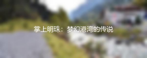 掌上明珠：梦幻港湾的传说