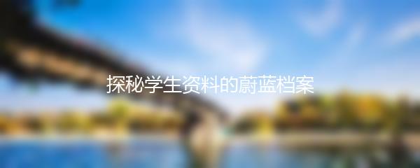 探秘学生资料的蔚蓝档案