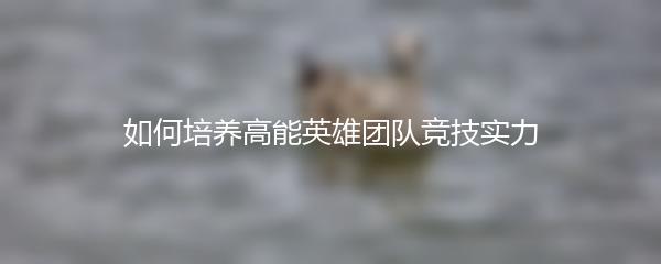 如何培养高能英雄团队竞技实力