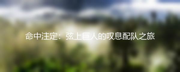 命中注定：弦上巨人的叹息配队之旅