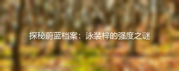 探秘蔚蓝档案：泳装梓的强度之谜