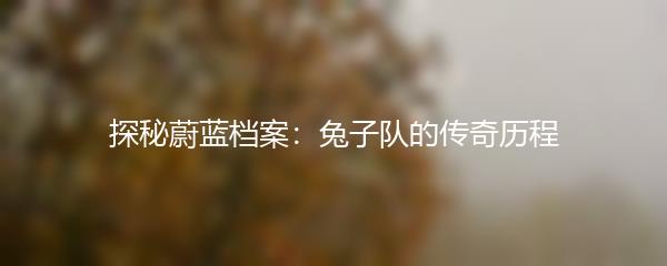 探秘蔚蓝档案：兔子队的传奇历程