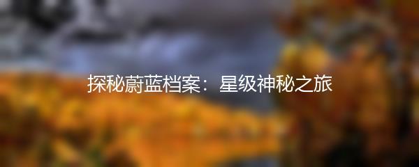 探秘蔚蓝档案：星级神秘之旅