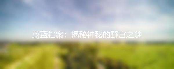 蔚蓝档案：揭秘神秘的野宫之谜
