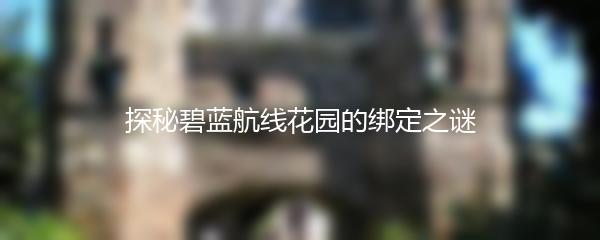 探秘碧蓝航线花园的绑定之谜