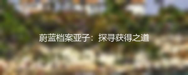 蔚蓝档案亚子：探寻获得之道