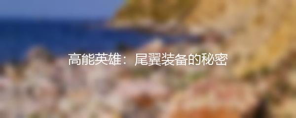 高能英雄：尾翼装备的秘密