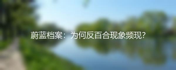 蔚蓝档案：为何反百合现象频现？