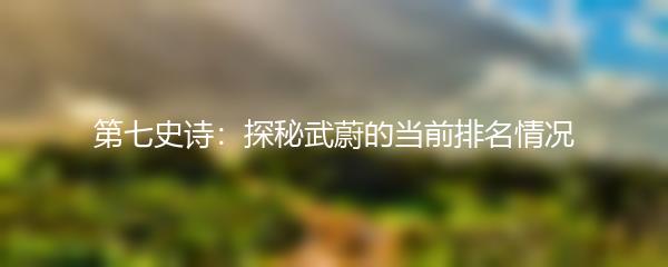 第七史诗：探秘武蔚的当前排名情况