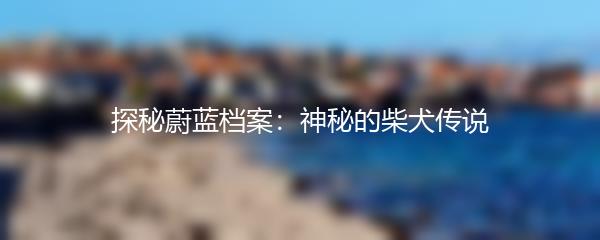 探秘蔚蓝档案：神秘的柴犬传说